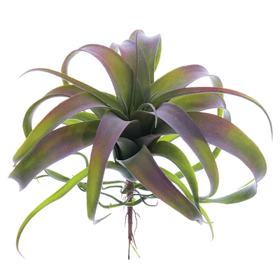 12 Pack: Green & Tillandsia Pick