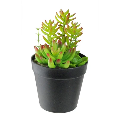 8" Artificial Variegated Succulent Plants In Pot