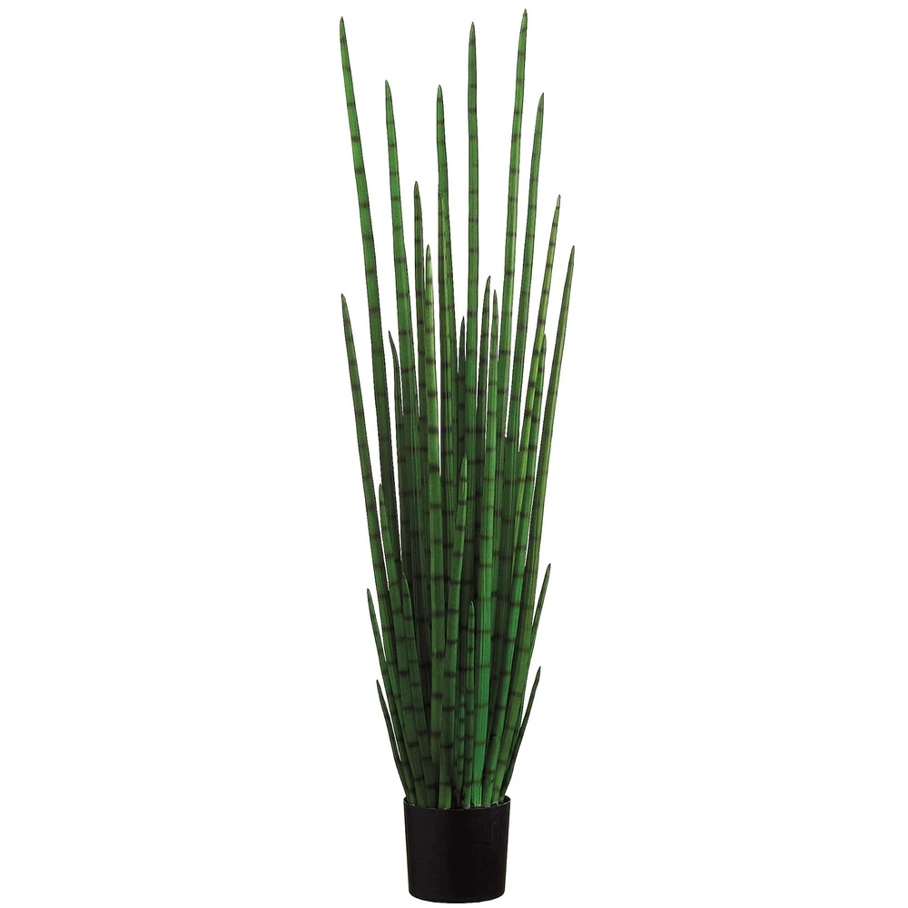 6 Pack: 5.5ft. Snake Grass Plant