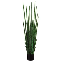 6 Pack: 5.5ft. Snake Grass Plant