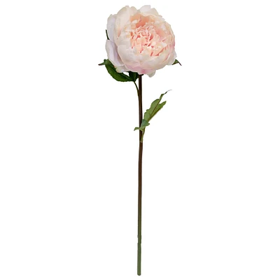 King Peony Stem By Ashland®