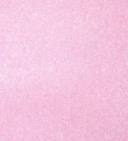 Euro Pink Fleece Fabric