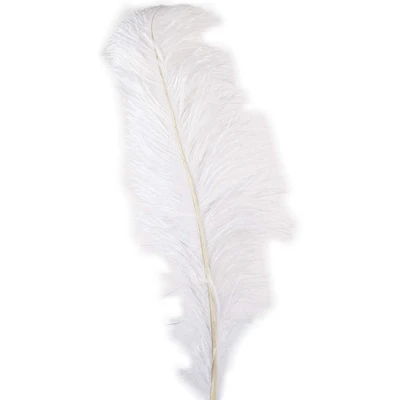 Ashland® Feather, Ostrich, Ivory