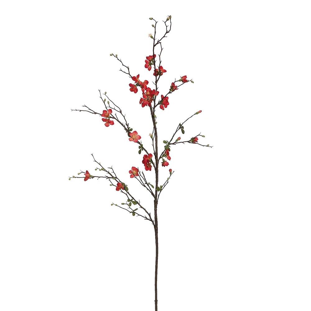 24 Pack: Quince Blossom Stem