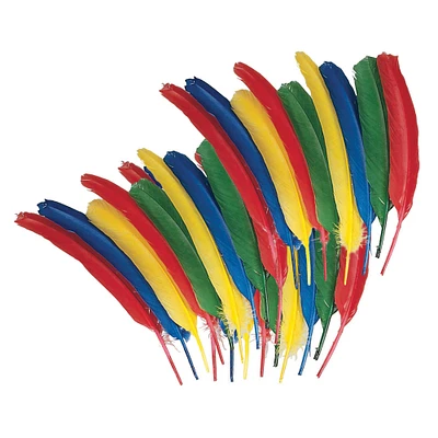 Assorted Color Quill Feathers, 6 Packs