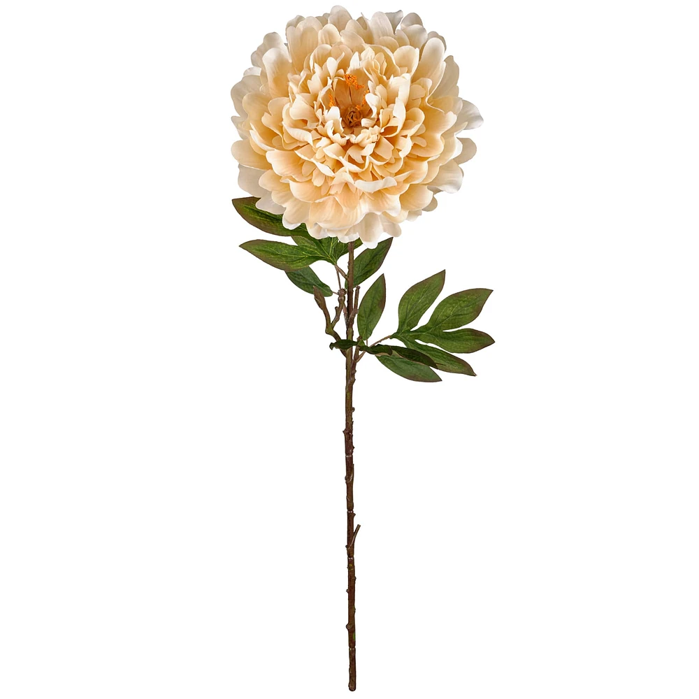 Jumbo Cream Peony Stem by Ashland®