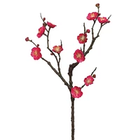 Plum Blossom Stem