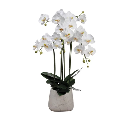 35" Orchid Plant in Faux Marble Pot