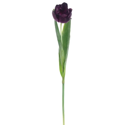 Violet Tulip Stem