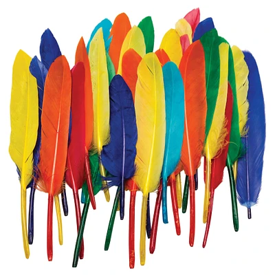 Duck Quill Feathers, 6 Packs
