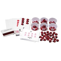 Primary Concepts™ Count-a-Ladybug Counting Kit