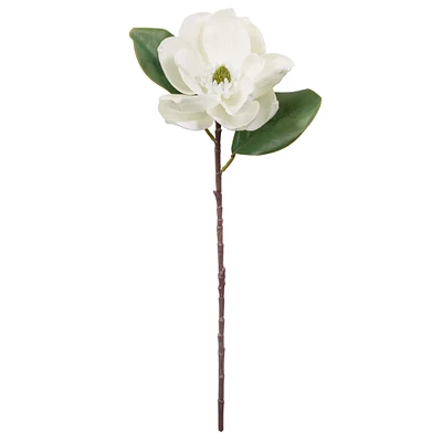 White Magnolia Stem by Ashland®