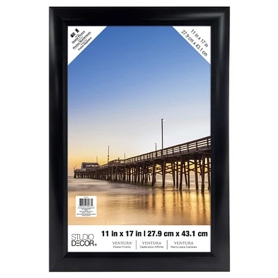 Ventura™ Poster Frame by Studio Décor