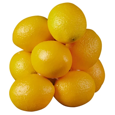 12 Packs: 10 ct. (120 total) Lemons by Ashland®