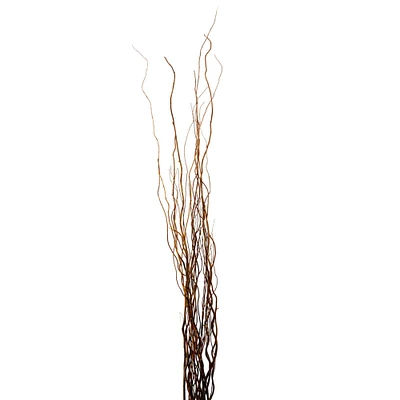 Natural Curly Willow by Ashland®