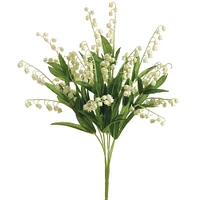 Lily of the Valley Bush