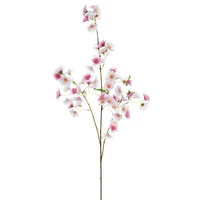 12 Pack: Cherry Blossom Stem