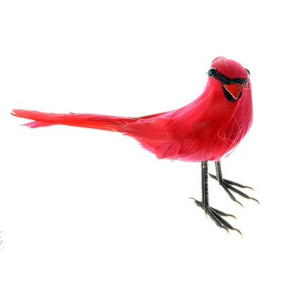 Cardinal Bird by Ashland®