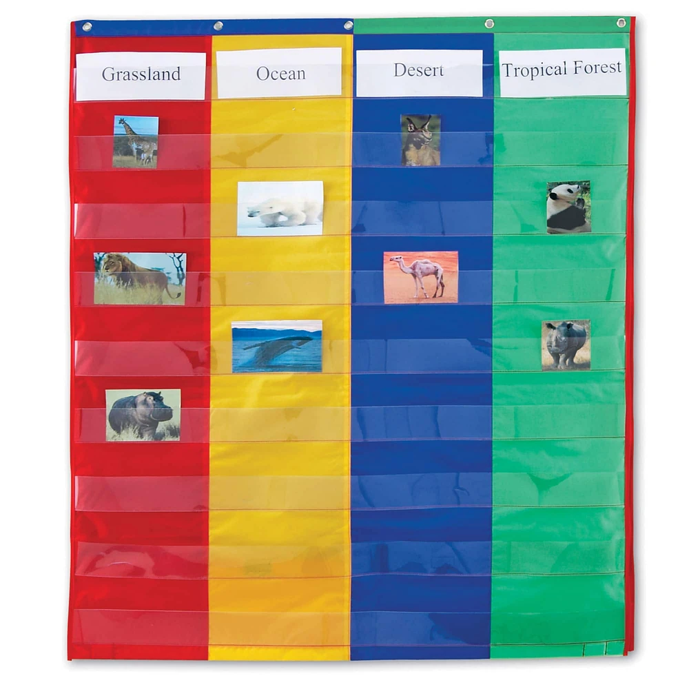 2 & 4 Column Double-Sided Pocket Chart