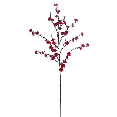 Red Plum Blossom Stem