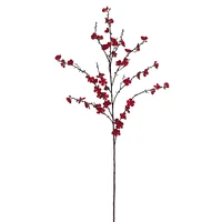 Red Plum Blossom Stem