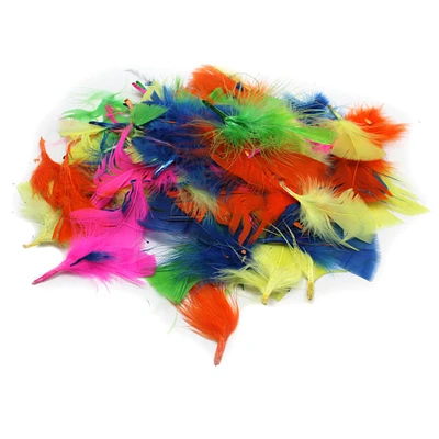 Multicolor Turkey Feathers, 12 Packs