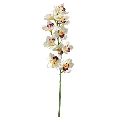 Cream & Burgundy Cymbidium Orchid Stem