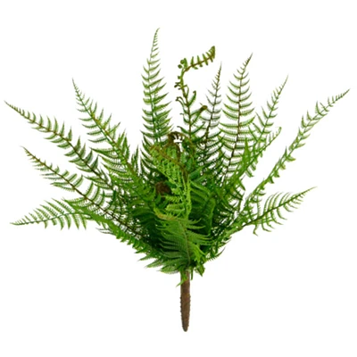 Boston Fern Bush by Ashland®