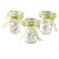 Celebrate It™ Occasions™ Glass Snap-Top Favor Jars