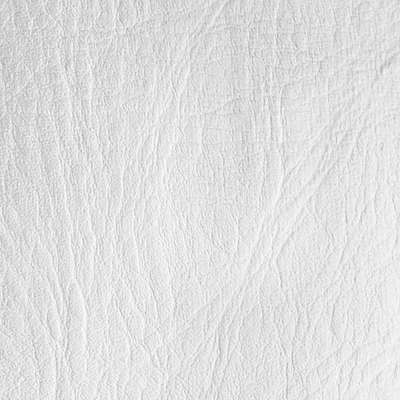 Richloom Outing Fortress® White Home Décor Fabric