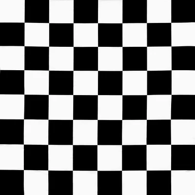 White/Black Medium Checker Matte Satin