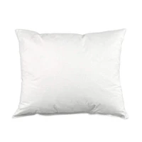 16" x 24" Down Pillow Form - 5/95