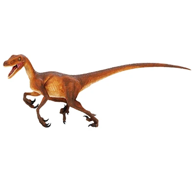 Safari Ltd® Velociraptor