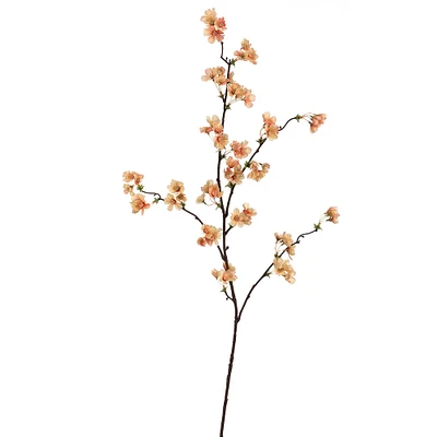 24 Pack: Apricot Peach Quince Blossom Stem
