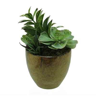 Artificial Mixed Green and Red Succulent Plants with Pot
