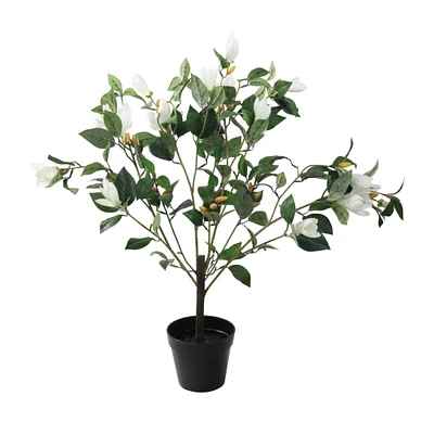 32.5" Lily White Magnolia Potted Topiary