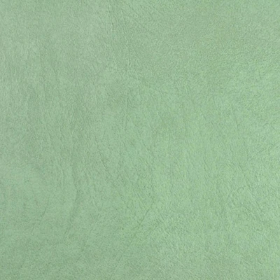 Allegro Sage Green Vinyl