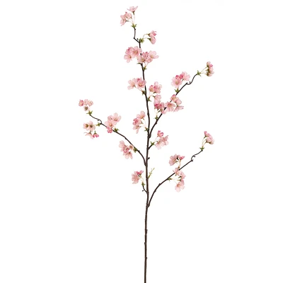 Pink Quince Blossom Stem