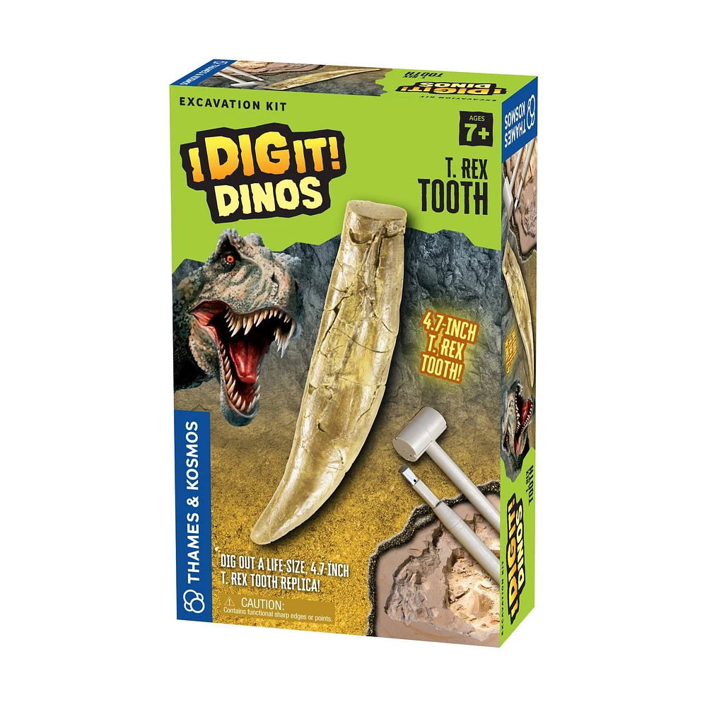 Thames & Kosmos I Dig It! Dinos: T. Rex Tooth Excavation Kit