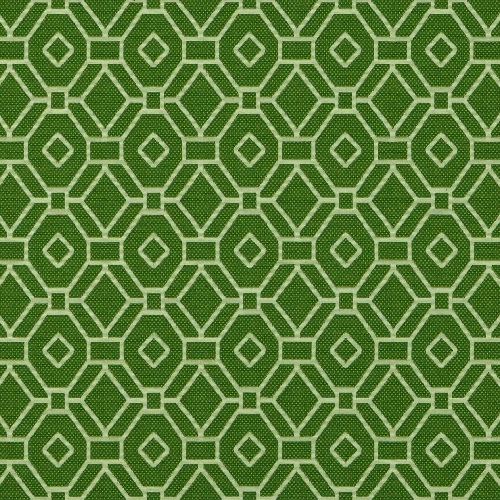 Essential Living Taylor Lime Home Décor Fabric