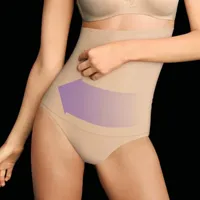 Maidenform Fat Free Dressing® Hi-Waist Control Briefs 1854