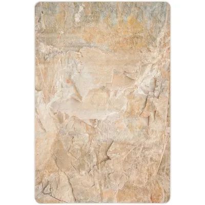 Safavieh Daytona Collection Orpa Novelty Area Rug