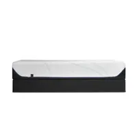 Tempur-Pedic Tempur-Proadapt Plush Tight-Top Memory Foam Mattress + Box Spring