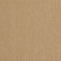 Safavieh Courtyard Collection Trina Bordered Indoor/Outdoor Area Rug