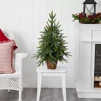 Nearly Natural Planter And Clear Lights 2 1/2 Foot Pre-Lit Christmas Tree