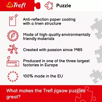 Trefl Puzzles - 2000 Piece Political Map Of The World Puzzle