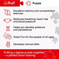 Trefl Puzzles - 1000 Piece Dungeon & Dragons Monsters Puzzle