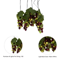 Kurt Adler 100-Light Green and Burgundy LED Grape Light Set with 5 Grape Bunches