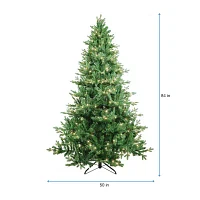Kurt Adler 7-Foot Pre-Lit Clear Incandescent Jackson Pine Tree