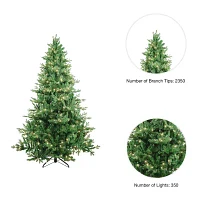 Kurt Adler 7-Foot Pre-Lit Clear Incandescent Jackson Pine Tree